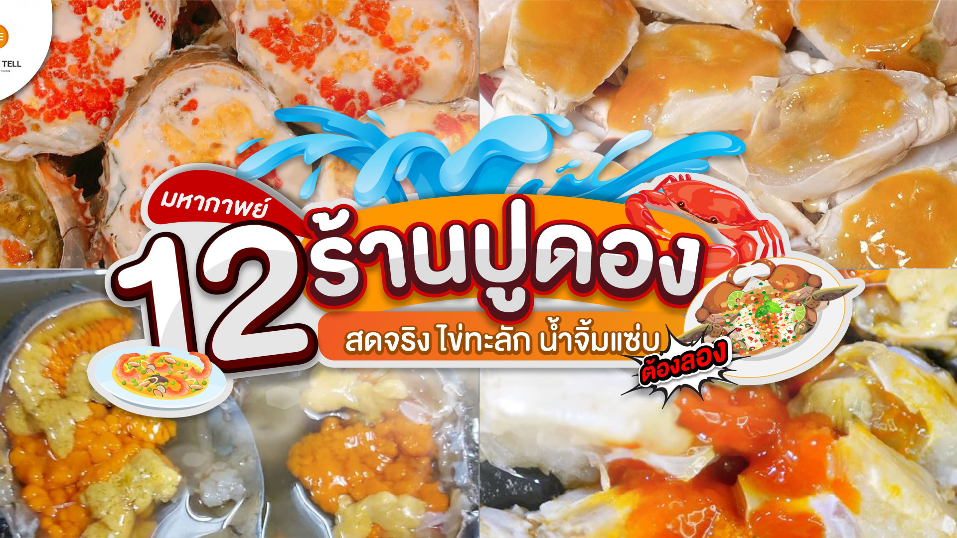 รวมมหากาพย์ 12 ร้านปูไข่ดอง พร้อมเดลิเวอรี่ ดูดปูเพลิน น้ำจิ้มแซ่บลืม