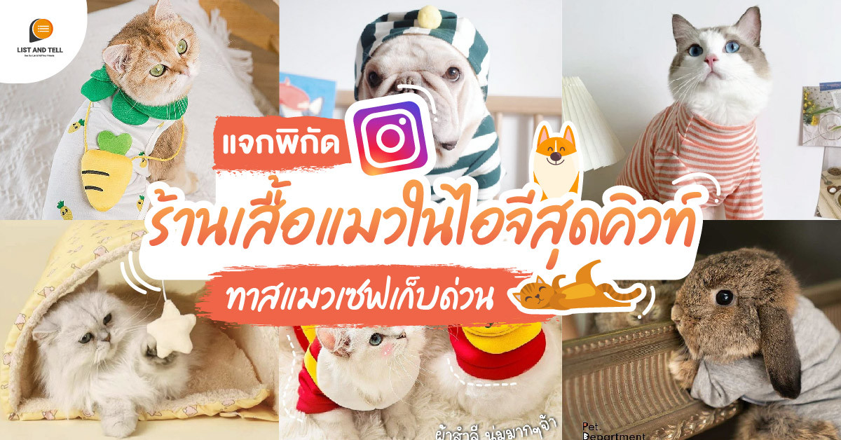 แจกพิกัดร้านร้านเสื้อแมวในไอจีสุดคิวท์ ทาสแมวเซฟเก็บด่วน