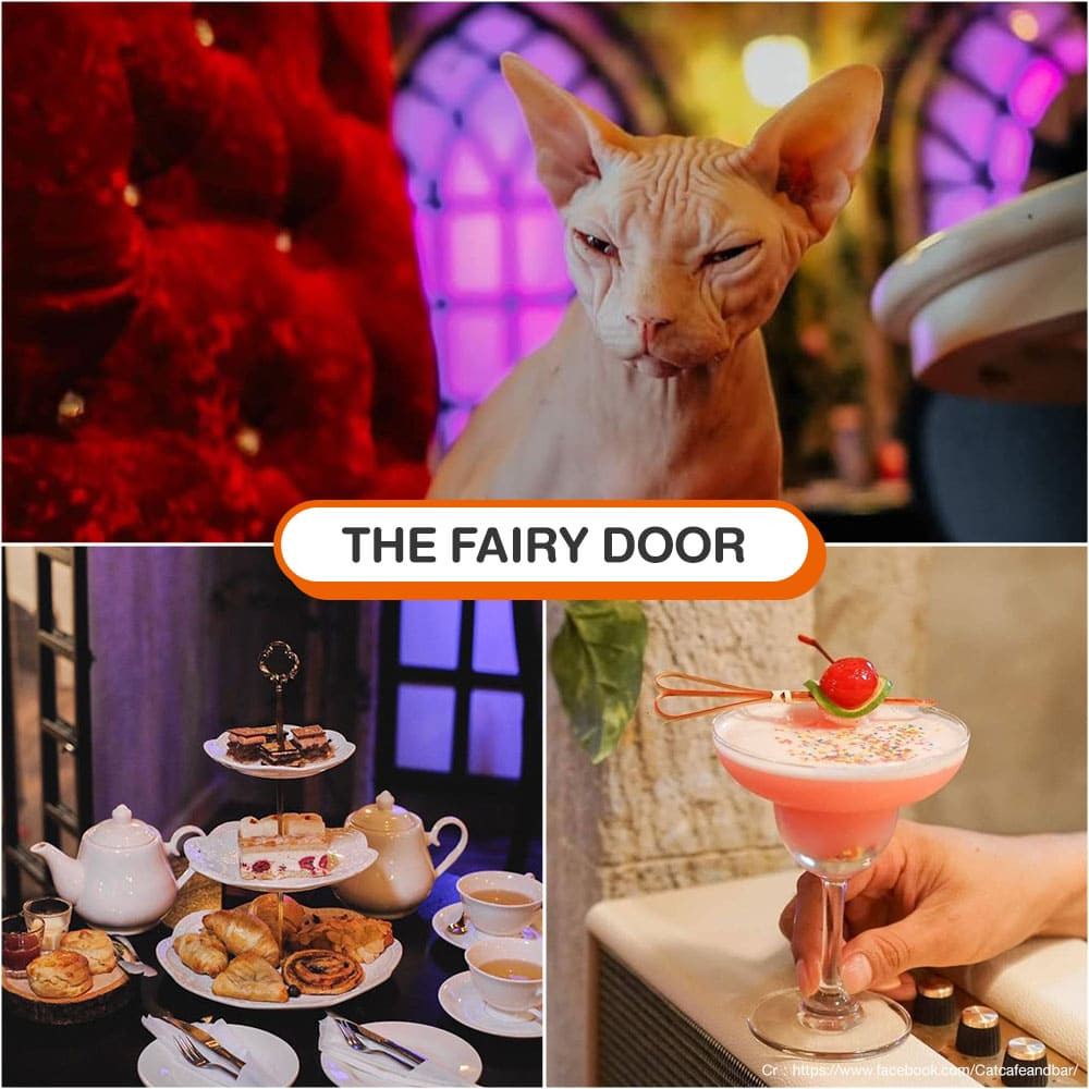 คาเฟ่แมว The Fairy Door