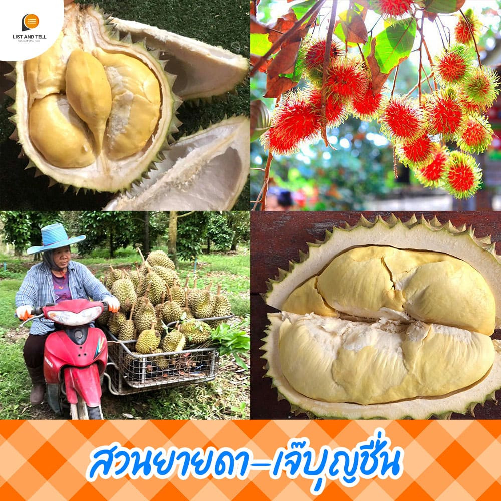My Image 10